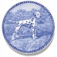 Dalmatian 